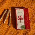 Конопляное семя в рационе попугаев img-1012.jpg