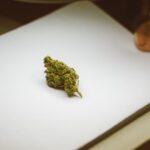 Синтетические наркотики соль свойства и риски употребления img-1477.jpg