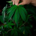 Героин и наркозависимость в Екатеринбурге img-181.jpg