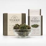 Афганские Семена Марихуаны Особенности и Характеристики Сорт Индика img-2979.jpg