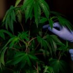 Наркозависимость и ее последствия img-305.jpg