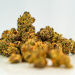 Конопля в Барнауле свойства и правовой статус img-3088.jpg