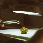 Спайс во Владимире: особенности приобретения и правовой статус img-586.jpg