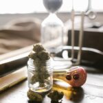 Характеристика сорта конопли Warlock от Serious Seeds img-602.jpg