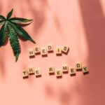 Наркотические средства и их влияние на здоровье img-862.jpg