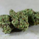 Покупка семян марихуаны и особенности выбора магазина семян конопли img-910.jpg